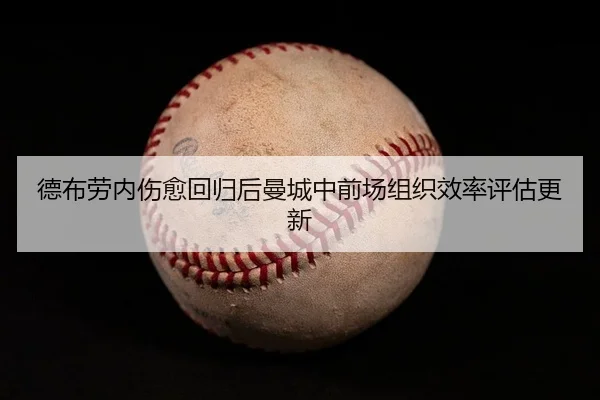 de-bu-lao-nei-shang-yu-hui-gui-hou-man-cheng-zhong-qian-chang-zu-zhi-xiao-lv-ping-gu-geng-xin-2-943.jpg